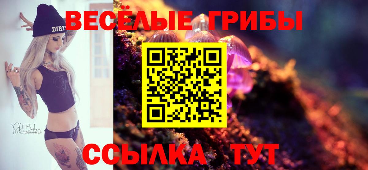Галлюциногенные грибы Psilocybine cubensis Кондопога